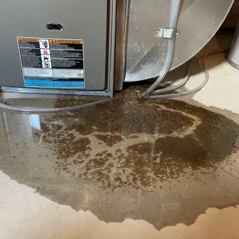 Appliance Leak Cleanup in Shawano County, WI